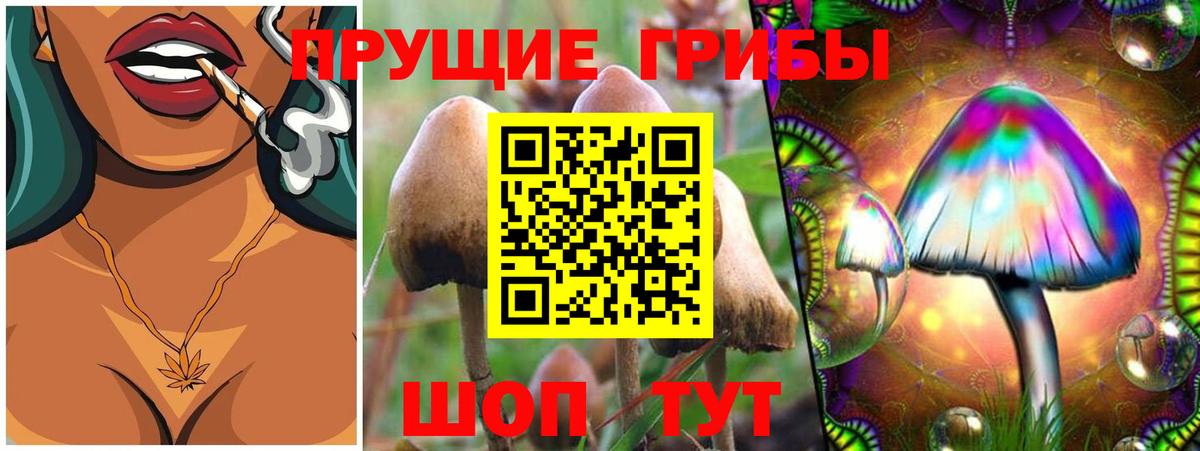 Галлюциногенные грибы GOLDEN TEACHER  Вход с VPN  Галлюциногенные грибы мухоморы  Бийск 