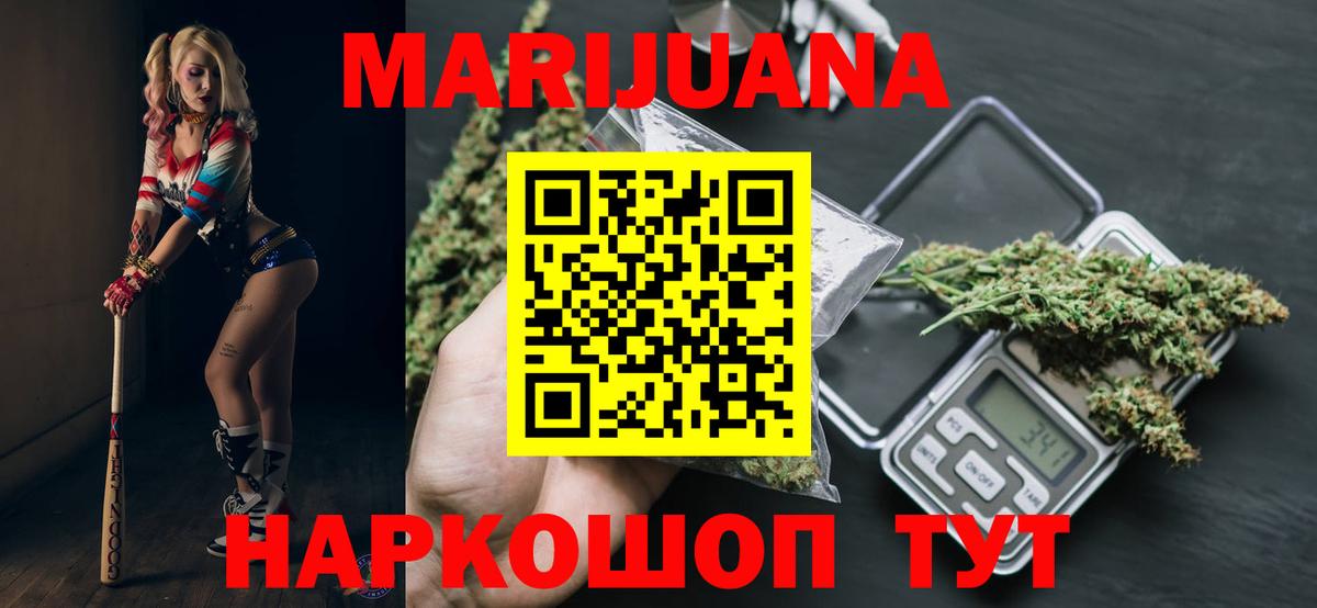 Бошки марихуана планчик  Бошки Шишки гибрид  Канабис план  Канабис сатива  Вход с VPN  Бийск 
