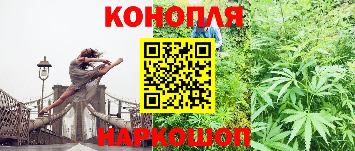 Бошки Шишки планчик Бийск